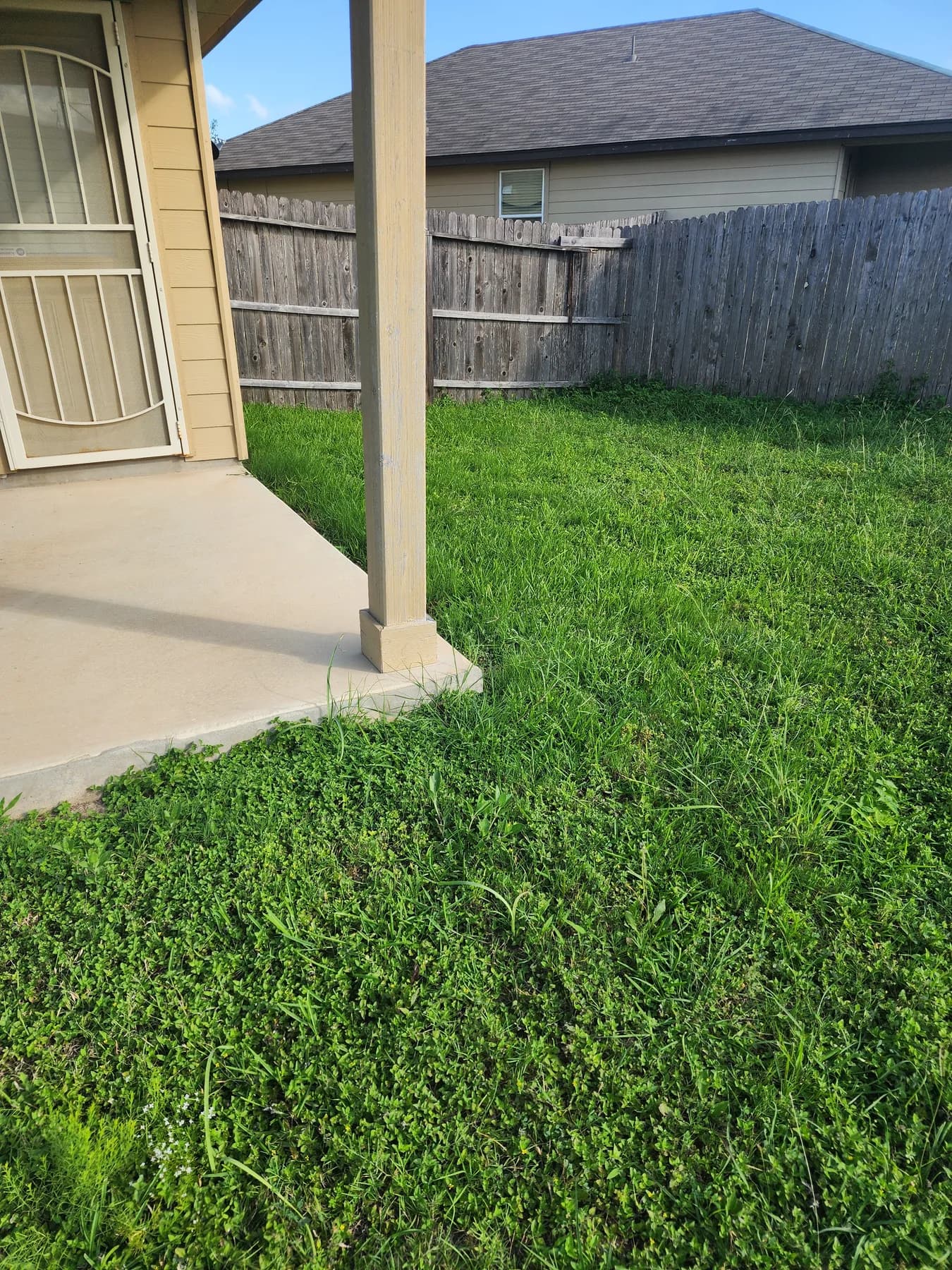 Freshly mowed lawn at a San Antonio home