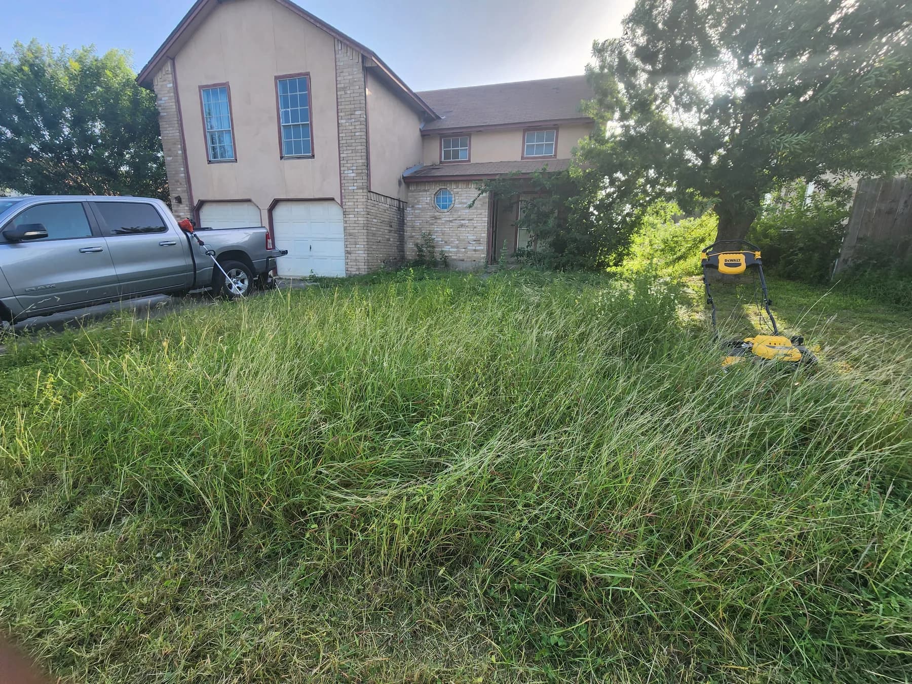 Overgrown yard before rental or vacant property cleanup in Greater San Antonio