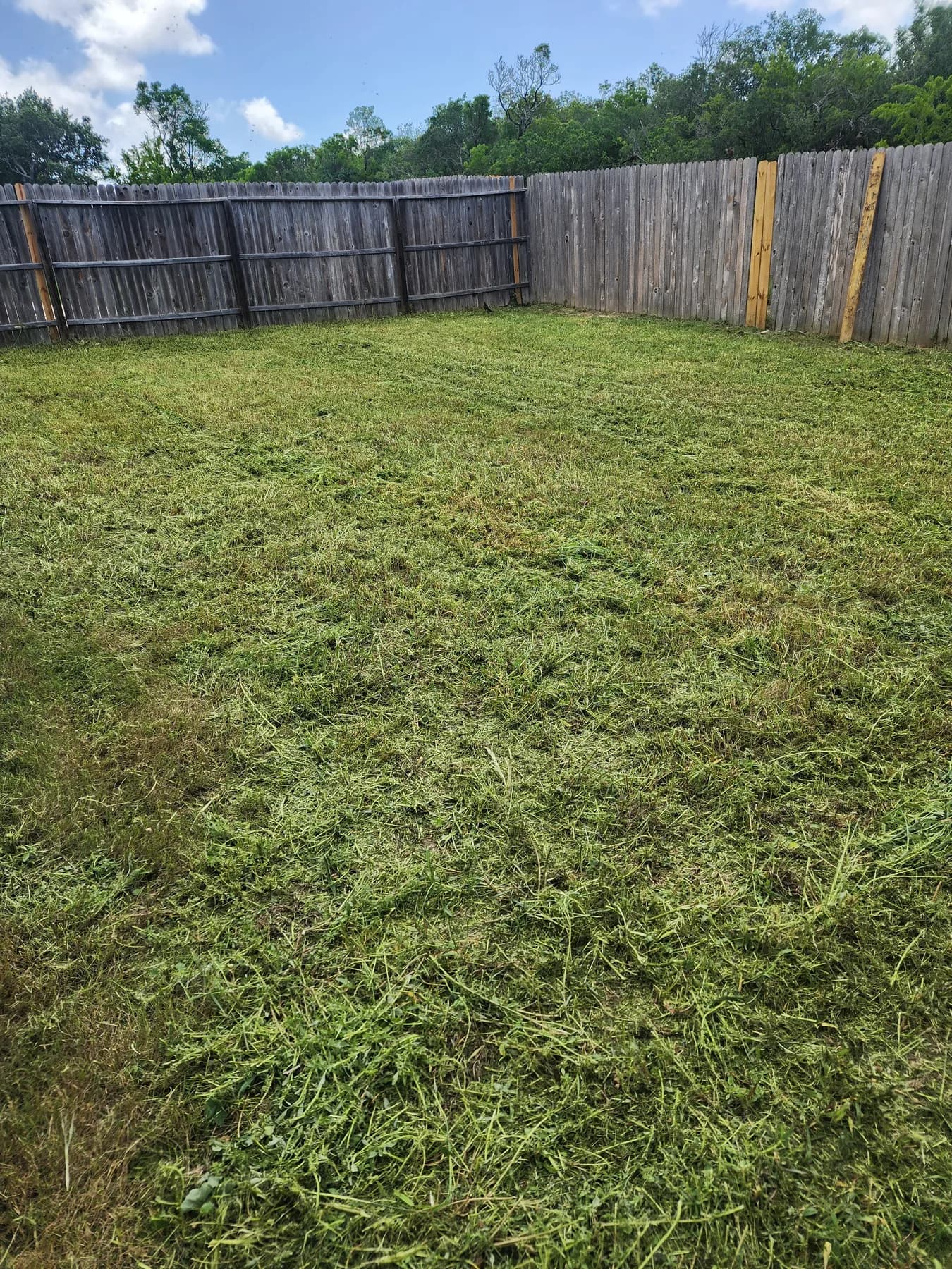 Yard restored after rental property cleanup by Sanders & Co
