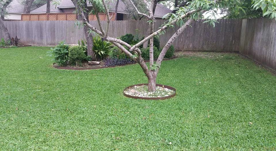 perfect for in San Antonio