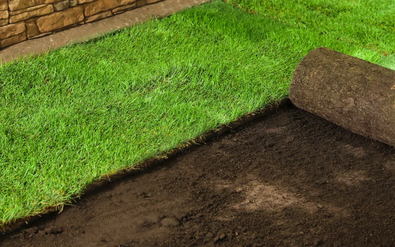 Sod Installation Services in San Antonio, TX | Sanders & Co Contracting Group