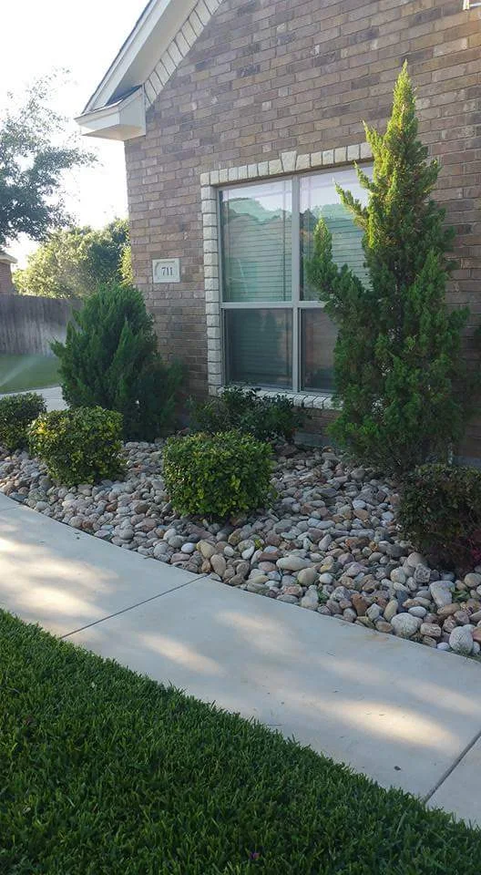 Landscape Maintenance San Antonio TX | Sanders & Co
