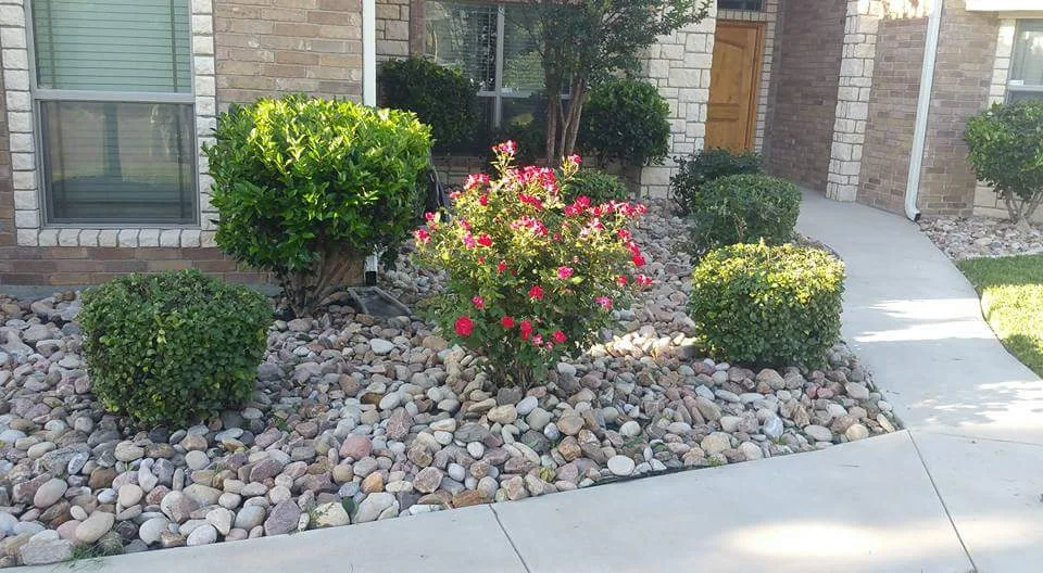 Landscape Maintenance San Antonio TX | Sanders & Co