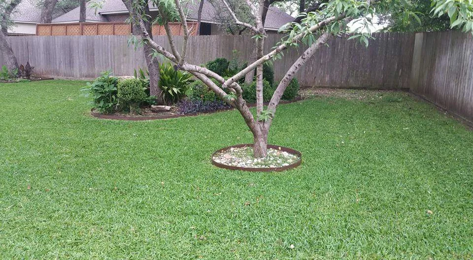 Yard Cleanup Services in San Antonio, TX | Overgrown Yard Cleanup | Sanders & Co Contracting Group