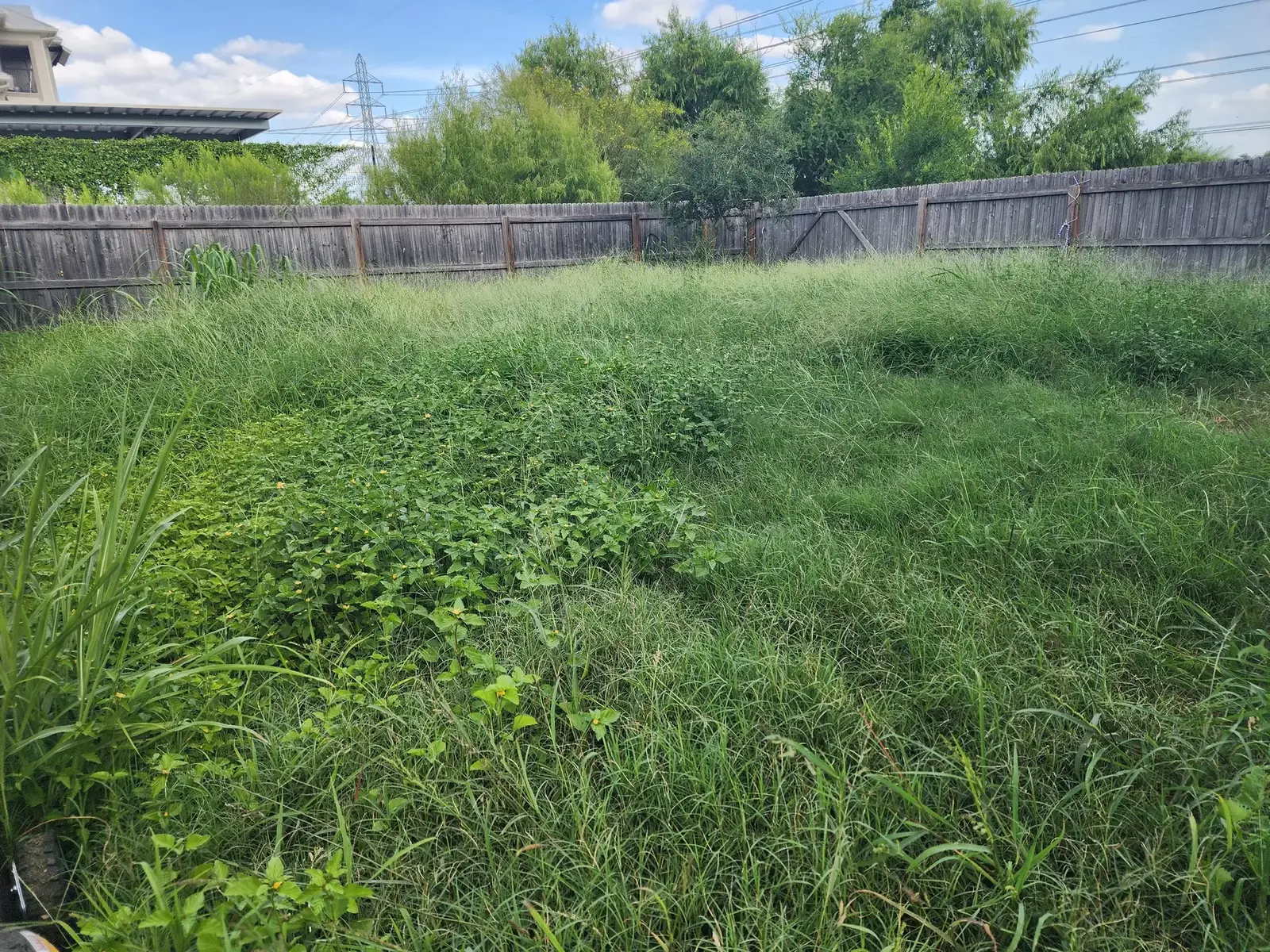 Landscape Maintenance San Antonio TX | Sanders & Co project photo