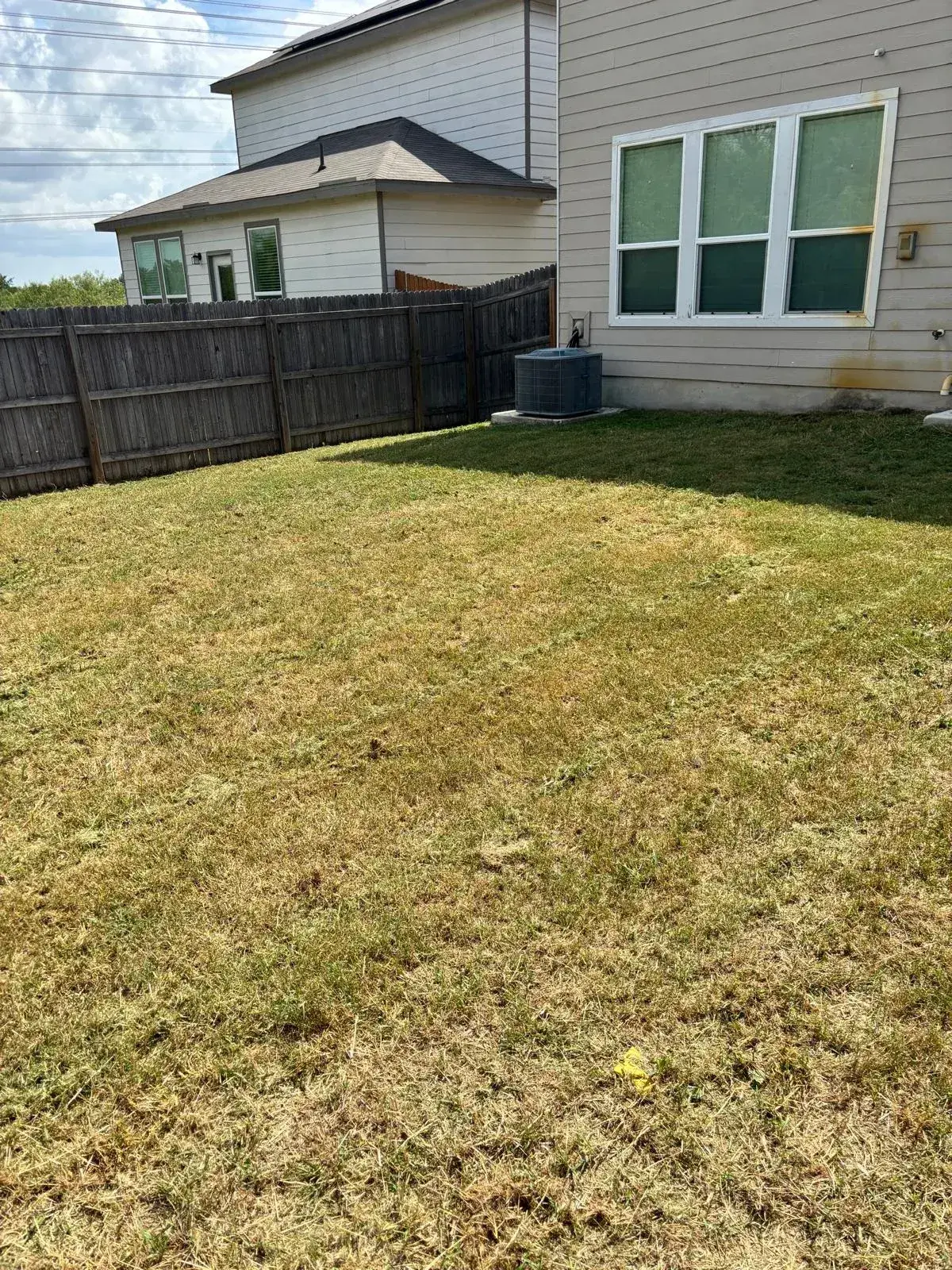 Yard Cleanup Services in San Antonio, TX | Overgrown Yard Cleanup | Sanders & Co Contracting Group