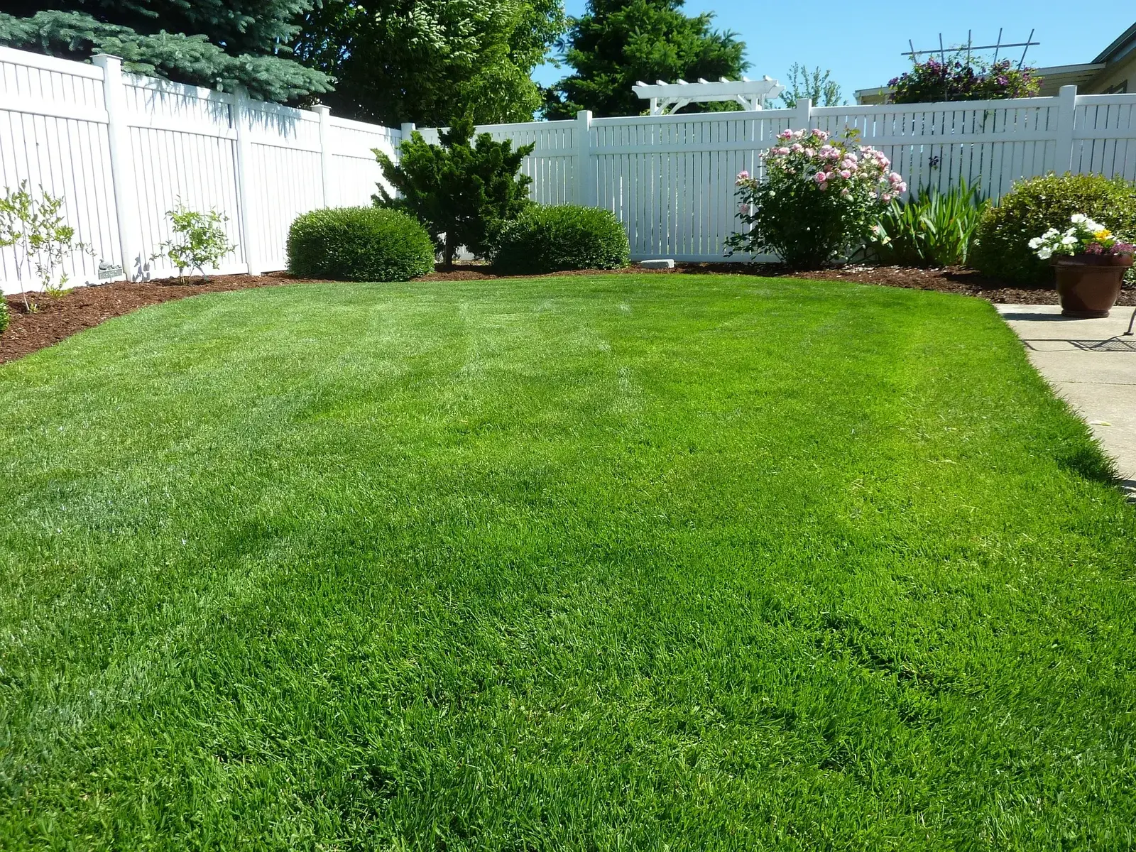 Yard Cleanup Services in San Antonio, TX | Overgrown Yard Cleanup | Sanders & Co Contracting Group